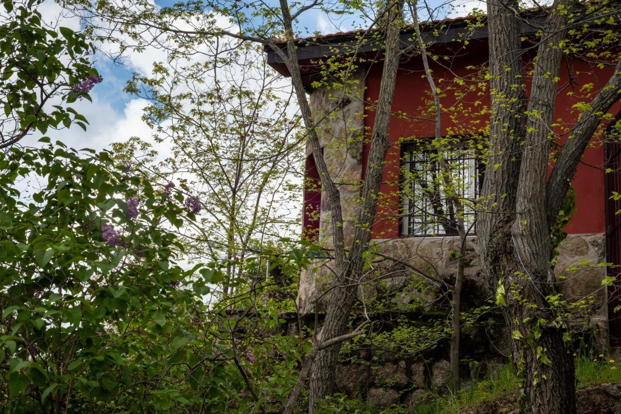 Casita En La Sierra Villa Zarzalejo Exteriör bild